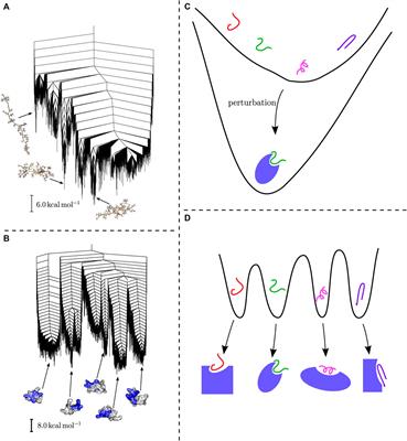 The Energy Landscape Perspective: Encoding Structure and Function for Biomolecules